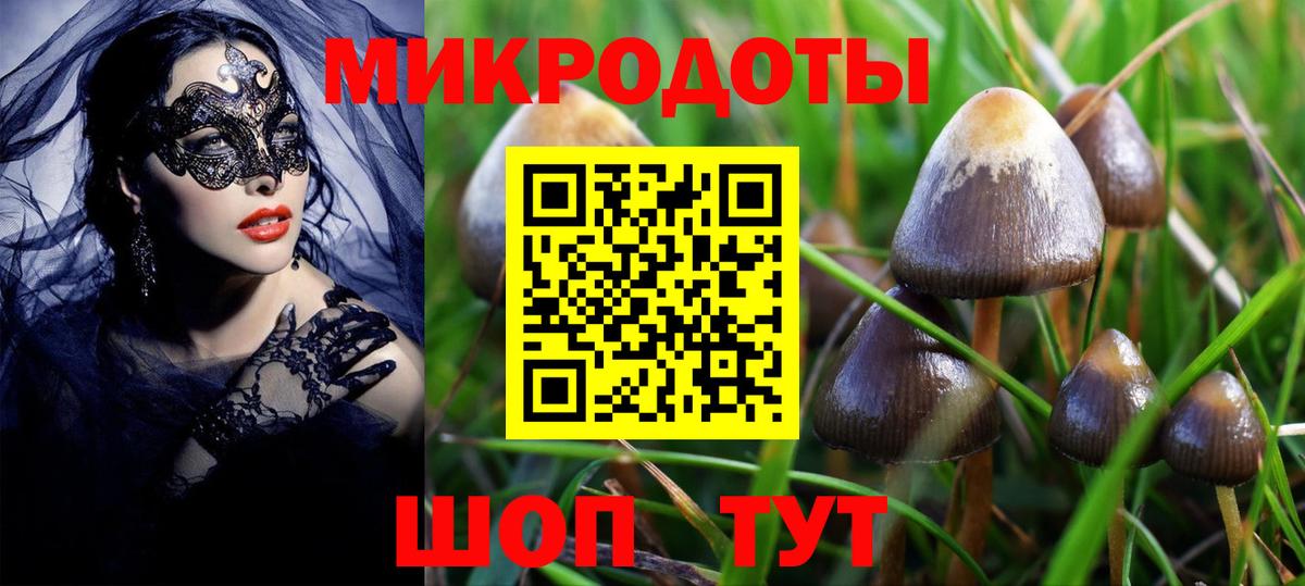 где купить наркоту  Вход с VPN  Копейск  Псилоцибиновые грибы Psilocybe  Псилоцибиновые грибы Cubensis 